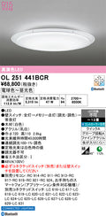 オーデリック　シーリングライト　OL251441BCR