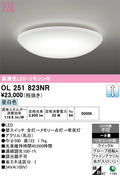 オーデリック　シーリングライト　OL251823NR