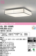 オーデリック　シーリングライト　OL251836R