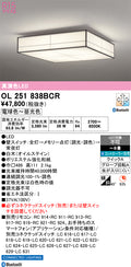 オーデリック　シーリングライト　OL251838BCR