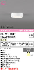オーデリック　シーリングライト　OL251863R
