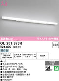 オーデリック　ブラケットライト　OL251873R