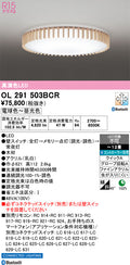 オーデリック　シーリングライト　OL291503BCR