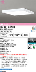 オーデリック　シーリングライト　OL291507BR