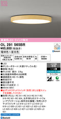 オーデリック　シーリングライト　OL291565BR