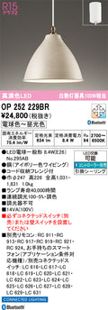 オーデリック　ペンダントライト　OP252229BR