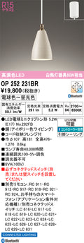 オーデリック　ペンダントライト　OP252231BR