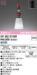 オーデリック　ペンダントライト　OP252571NR