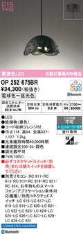 オーデリック　ペンダントライト　OP252675BR