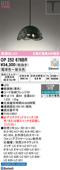 オーデリック　ペンダントライト　OP252676BR