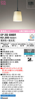 オーデリック　ペンダントライト　OP252806BR