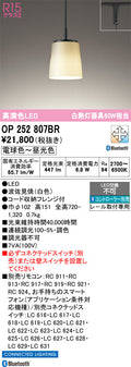 オーデリック　ペンダントライト　OP252807BR