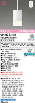 オーデリック　ペンダントライト　OP252831BR