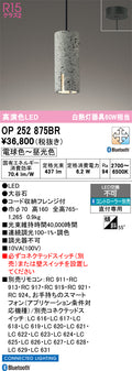 オーデリック　ペンダントライト　OP252875BR